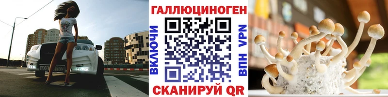 мега ONION Новомичуринск Галлюциногенные грибы Psilocybe закладки